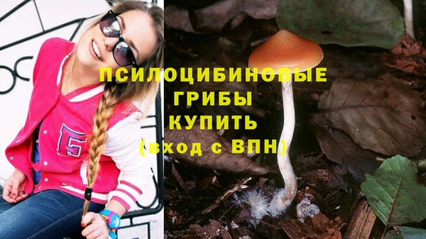 эйфоретик Касимов