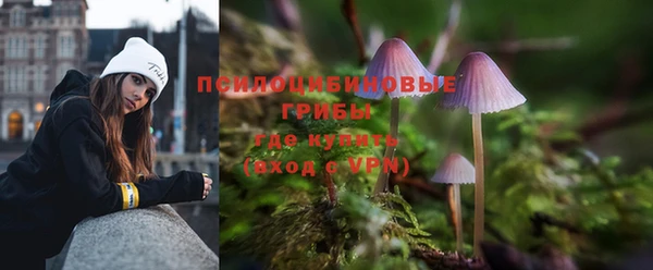 экстази Карпинск