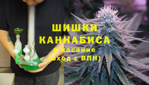 эйфоретик Касимов