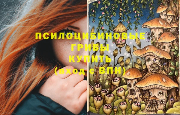 эйфоретик Касимов