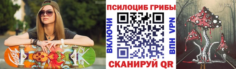 Галлюциногенные грибы Cubensis  Купить закладки  Жуковка 